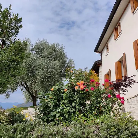 Casa Dolce Casa Homestay *